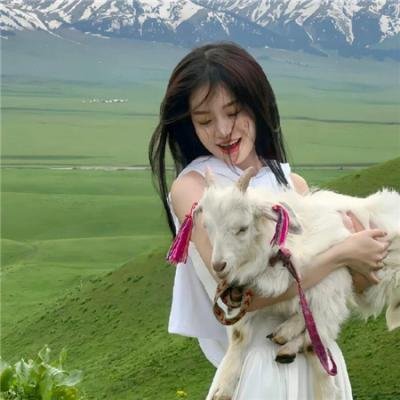 水星领航员第一季